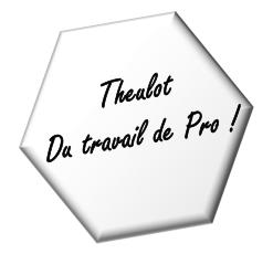 Theulot Du travail de Pro !